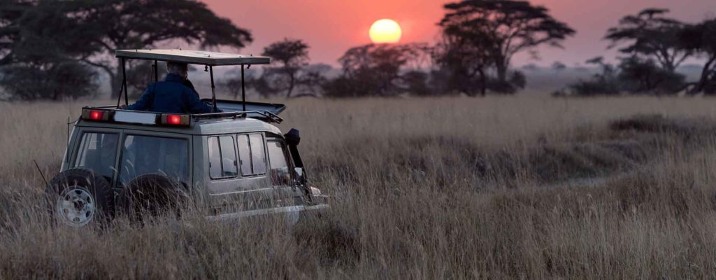 Land Cruiser Prado rental for Akagera National Park,Trusted car hire company for Akagera National Park tours