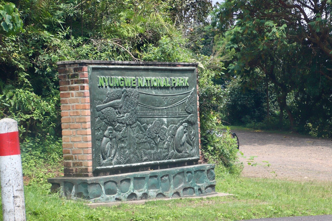 Driver-guided car rental to Nyungwe Forest National Park