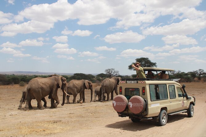 Safari car hire for Kenya, Tanzania, Uganda and Rwanda