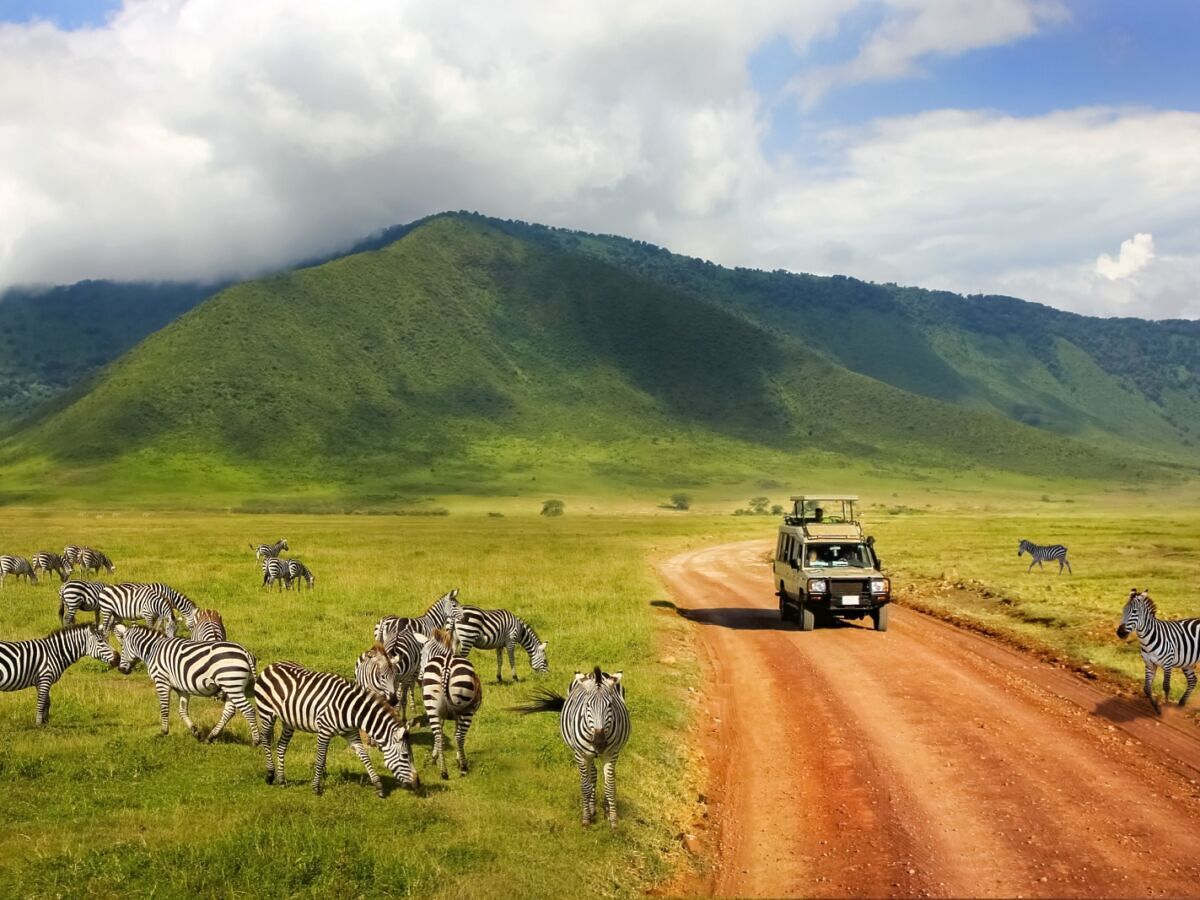 Long-term safari car rental in East Africa