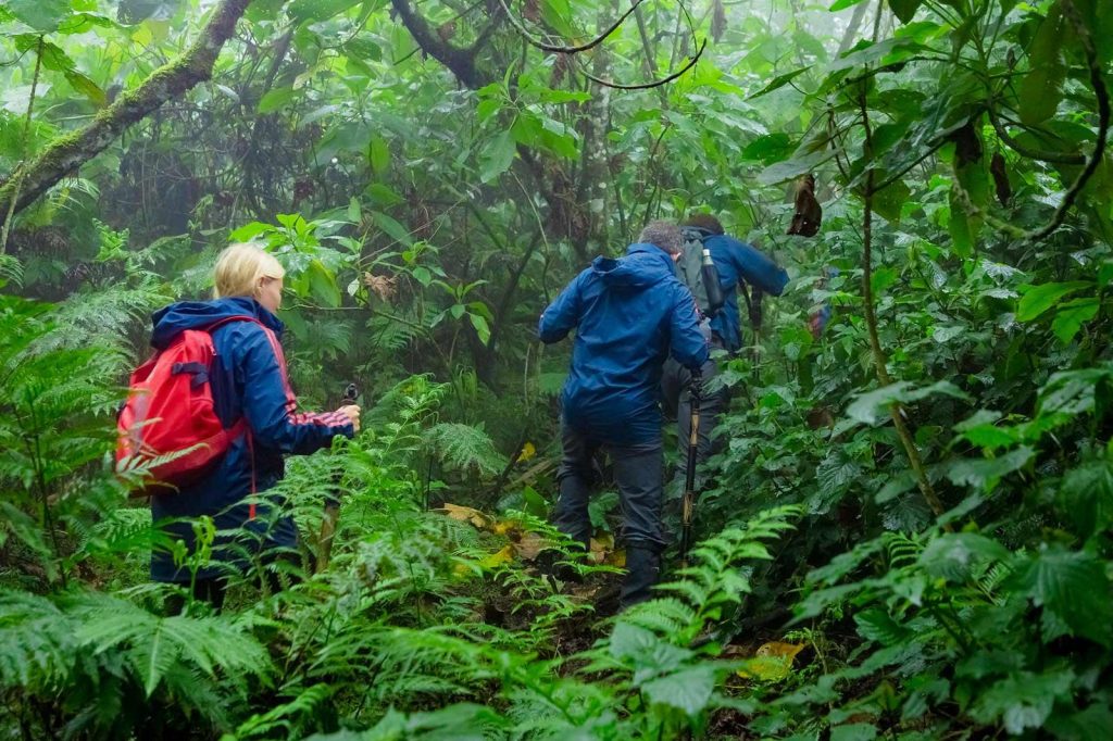 Private car hire from Kigali Airport to Volcanoes National Park