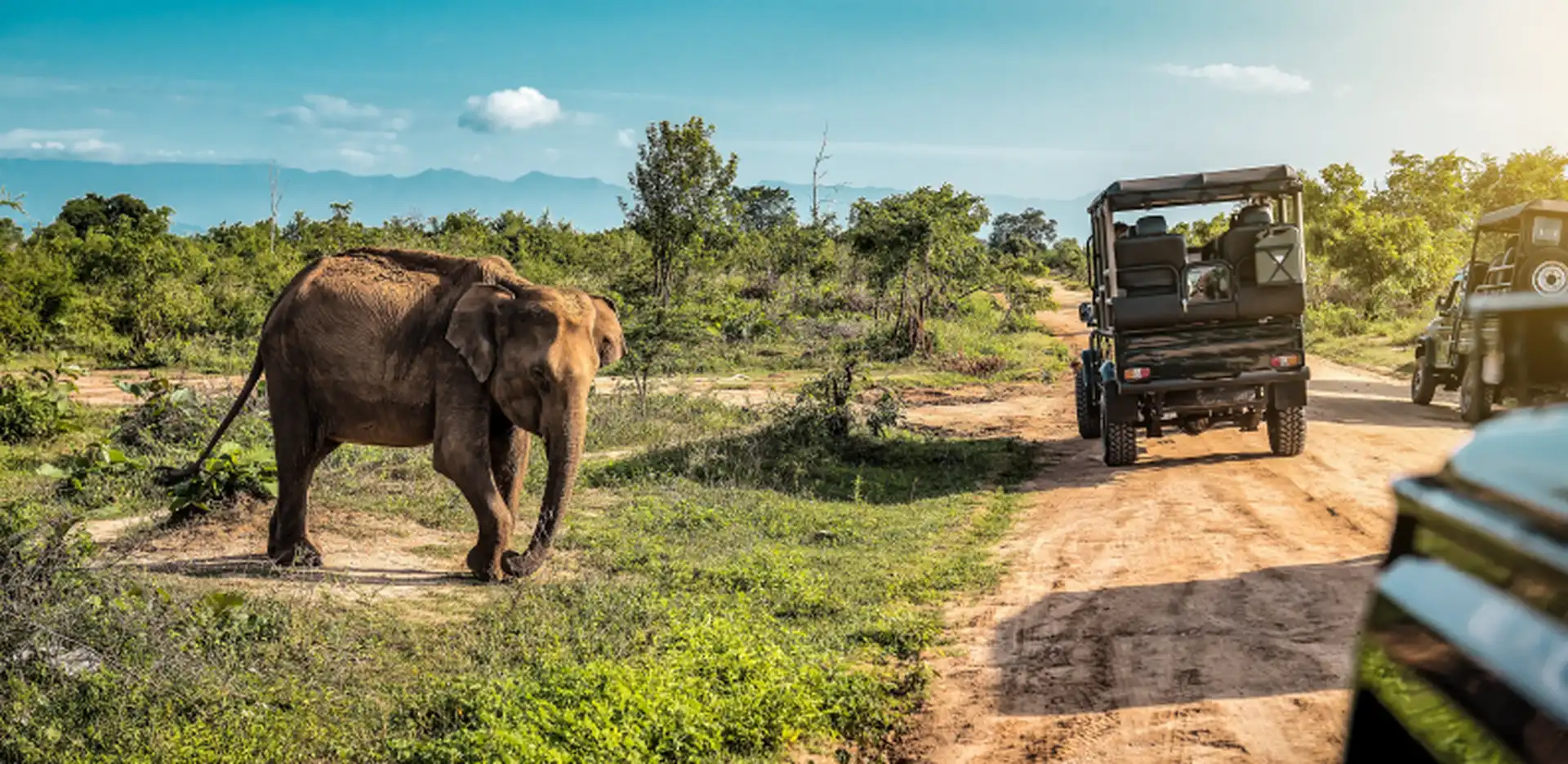 Safari Land Cruiser rental for East Africa tours