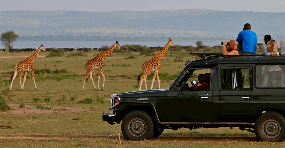Car rental for Queen Elizabeth and Murchison Falls trips