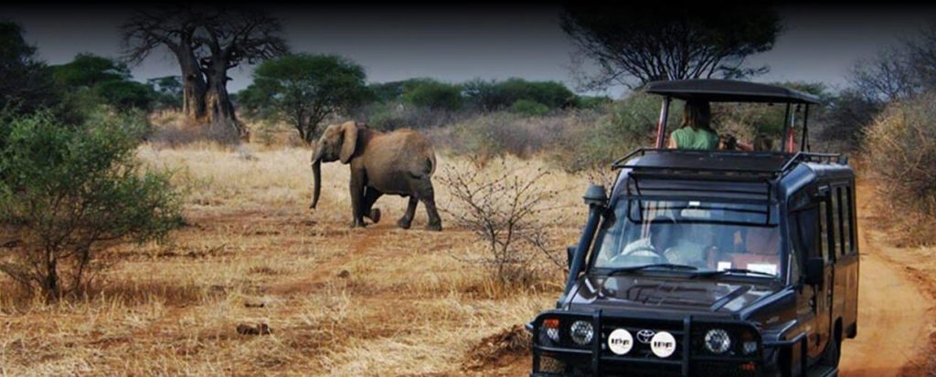 Self-drive Rwanda to Akagera National Park